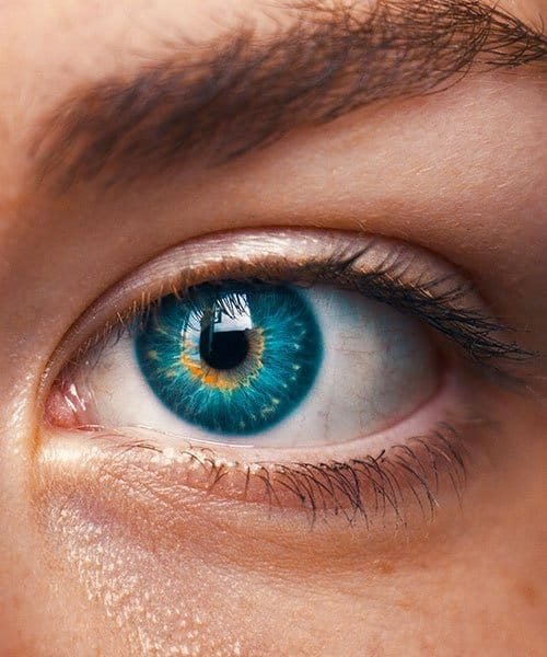 Ottica-Fantini-Bologna-5/7